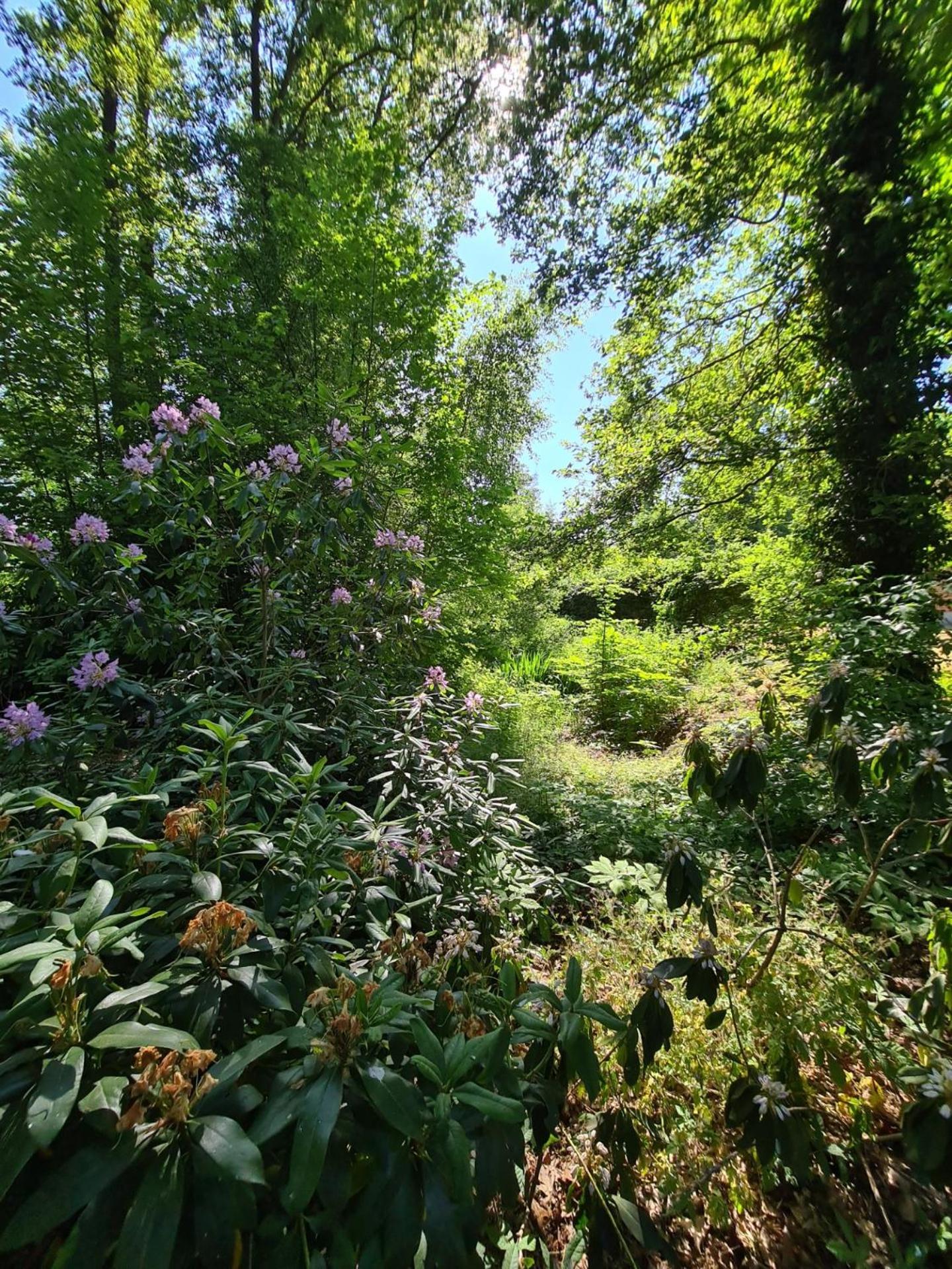 Landgoed De Lavei Weleveld Exterior foto