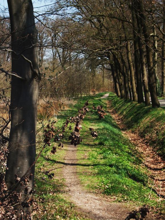 Landgoed De Lavei Weleveld Exterior foto