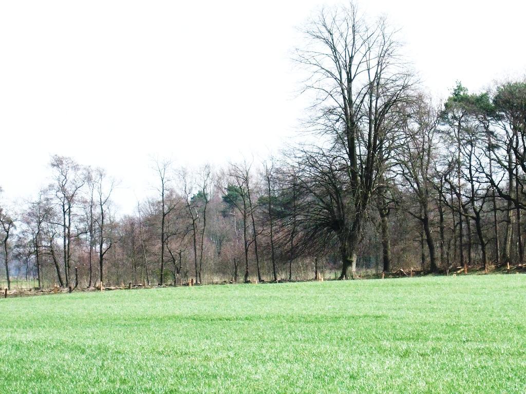 Landgoed De Lavei Weleveld Exterior foto
