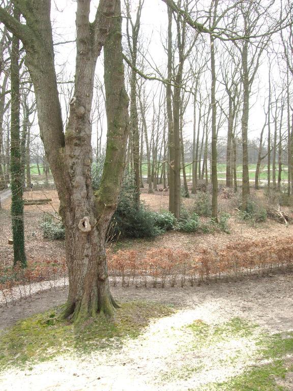 Landgoed De Lavei Weleveld Exterior foto